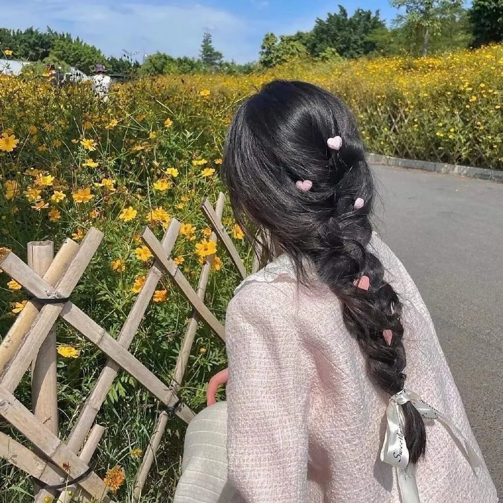 春城花满天