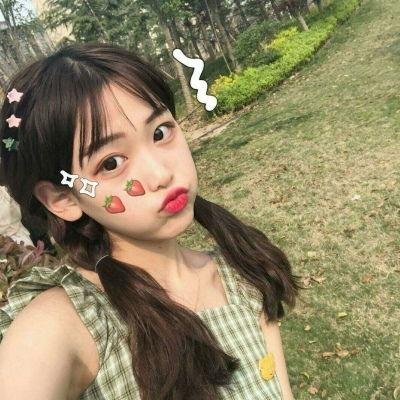 国际啄木鸟